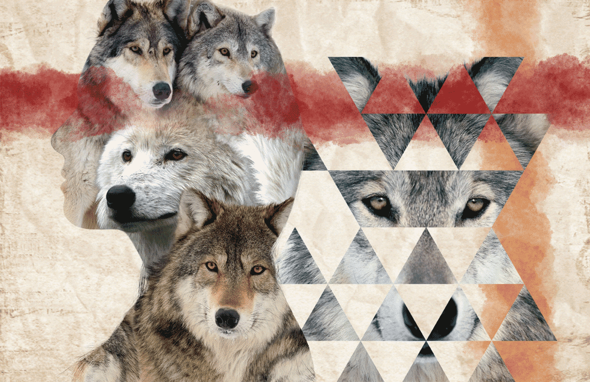 Pack