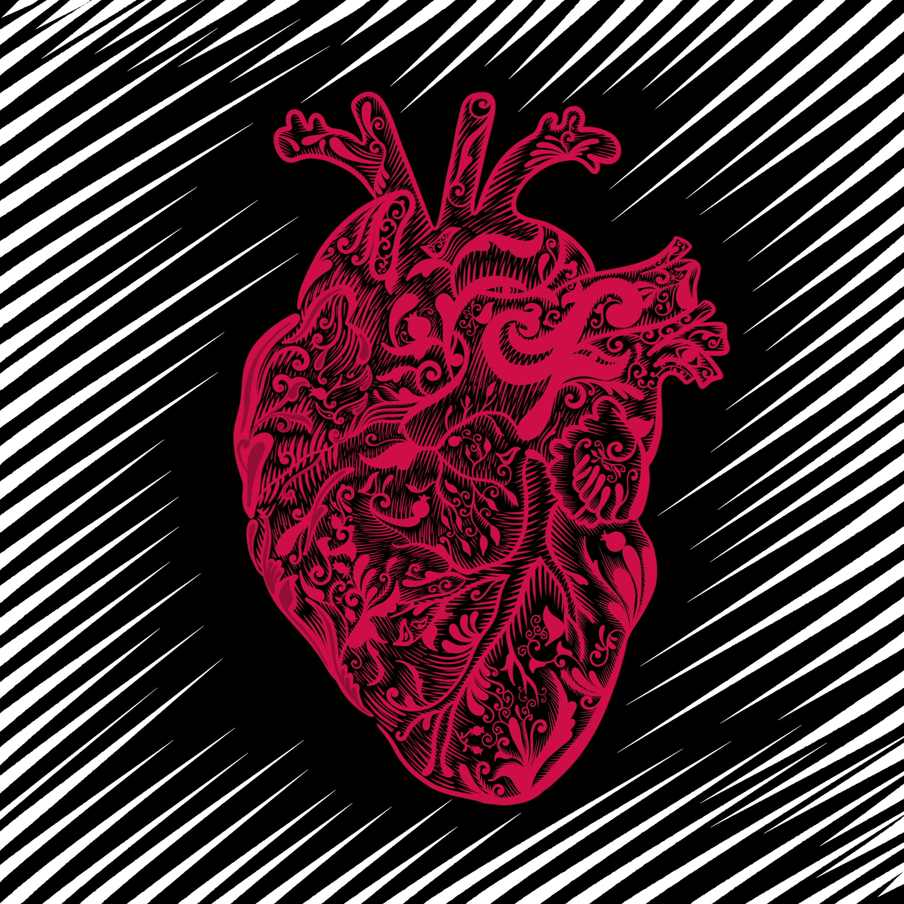 Crimson patterned heart on black and white hatched ground