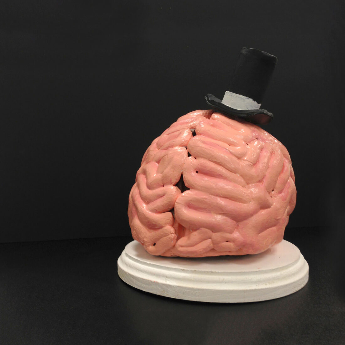 Fancy Brain