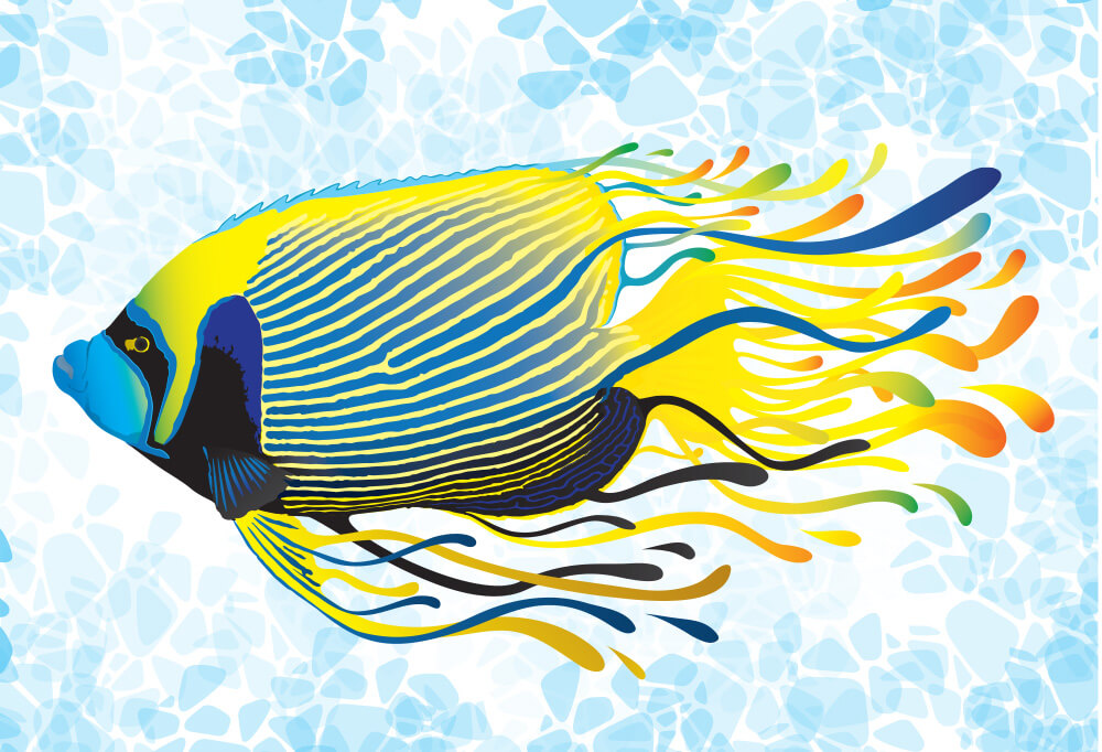 Angelfish