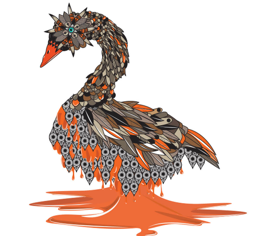 Swan