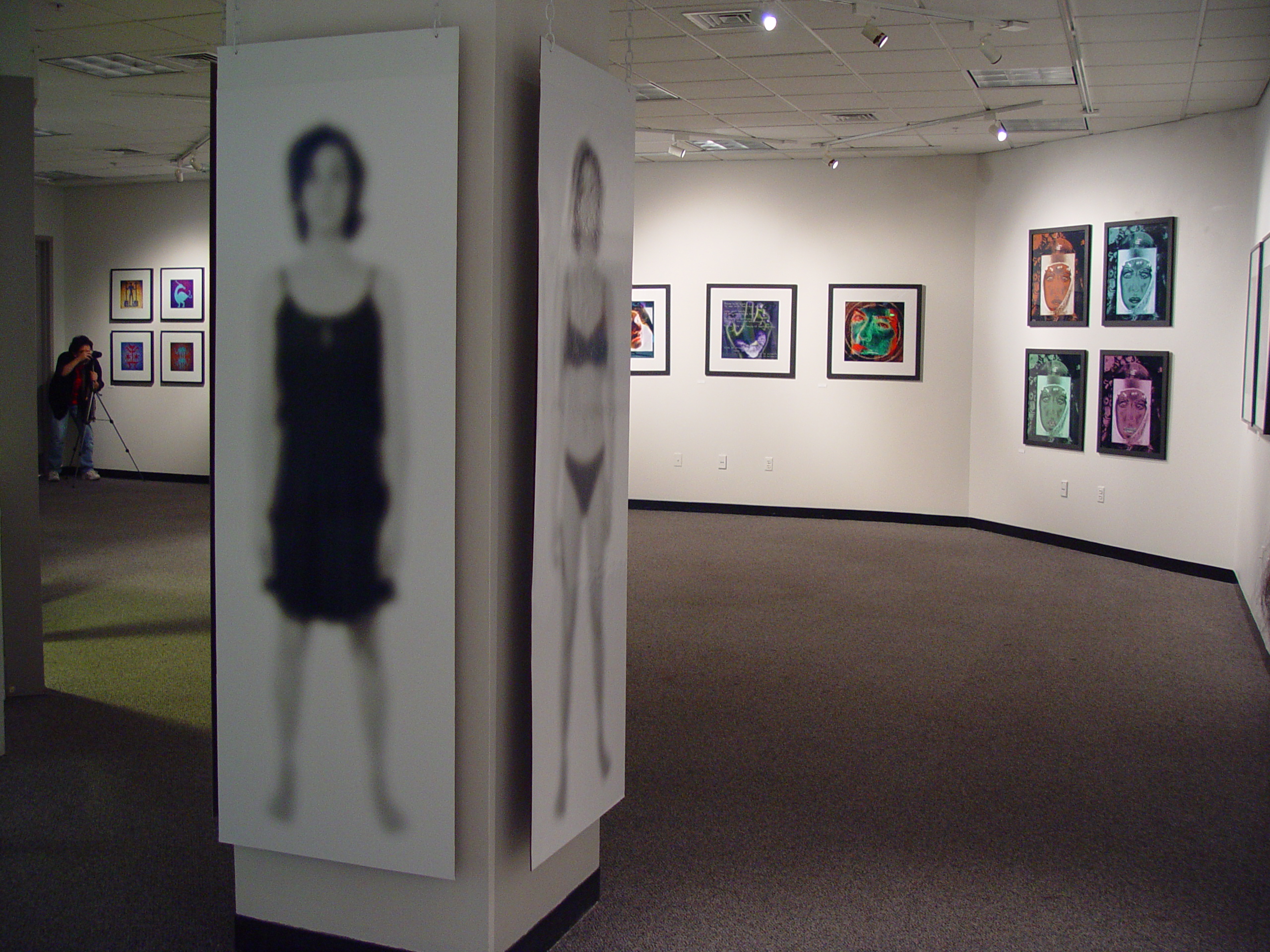 Gallery installation with hanging panels and framed works